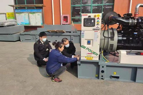 助力機電產品出口非洲，上海海關確保高效查檢